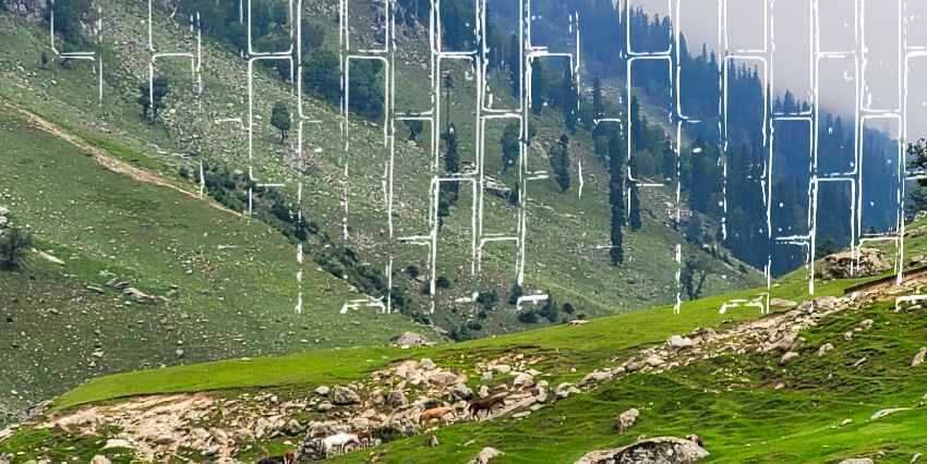 un campo verde con montañas