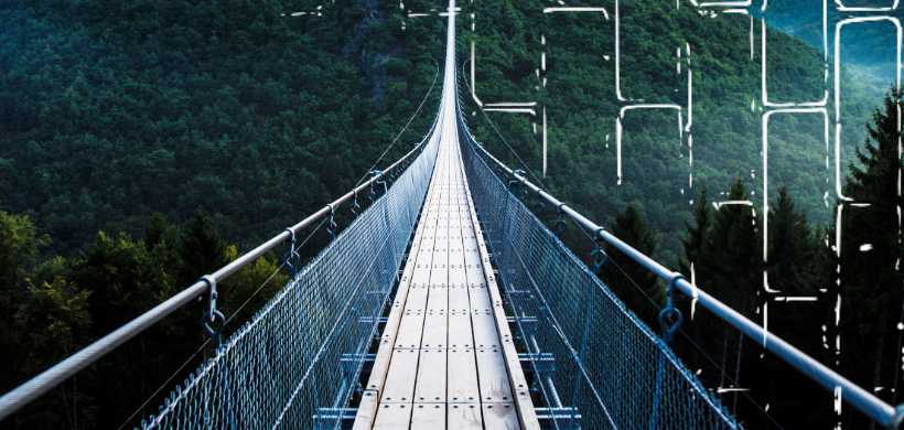 un puente elevado y largo, sobre árboles