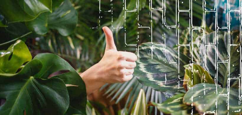 muchas plantas verdes con una mano saliendo con el pulgar para arriba